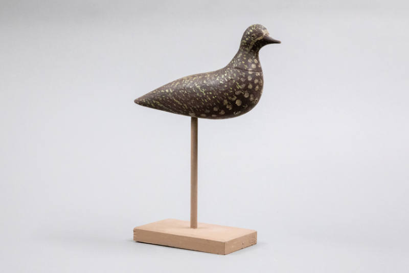 Charles F. Coffin, 1835–1919, “Golden Plover”, Nantucket, Massachusetts, 1905–1915, Paint on wo…