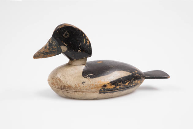 T. Smith, (dates unknown), “Common Goldeneye Drake”, Possibly western New York, c. 1920, Paint …