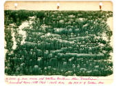 Melvin Edward Nelson, (1908–1992, United States), “Untitled (10 unframed pages)”, Colton, Orego…