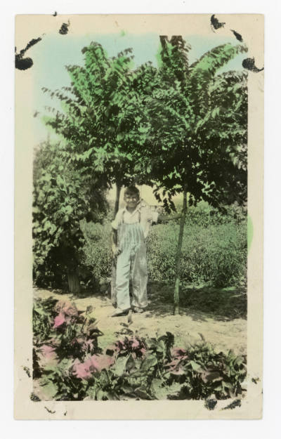 Artist unidentified, “Untitled [Child posing under tree]”, United States, c. 1916–1960, Hand-ti…