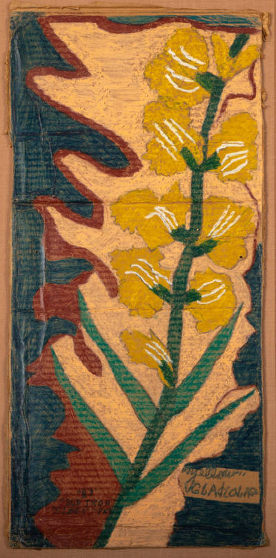Lamont "Old Ironsides" Pry, “Yellow” "Gladiolas"”, Weatherly, Pennsylvania, United States, 1968…