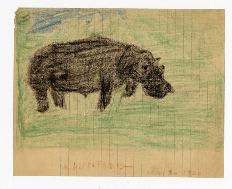  Justin McCarthy, “A Hippotamus”, Weatherly, Pennsylvania, United States, May 30, 1920, Colored…
