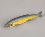 Artist unidentified, “Trout”, Chautauqua Lake, New York, United States, 19th century, Paint on …