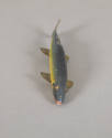 Artist unidentified, “Trout”, Chautauqua Lake, New York, United States, 19th century, Paint on …