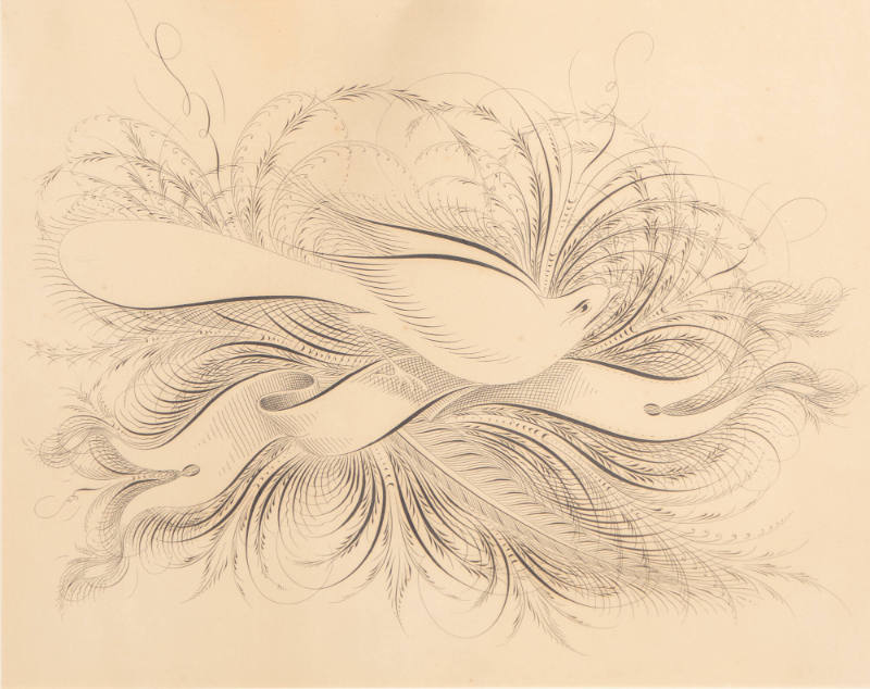 Artist unidentified, “Spencerian Drawing”, United States, Late nineteenth century, Pen and ink …