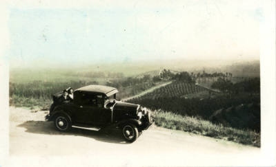 Photographer unidentified, “Untitled [Car with orange groves in the background]”, United States…