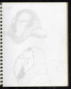 William A. Hall, (1943–2019), “Frankenstein Sequel (second sketchbook, aka Protége)”, Los Angel…