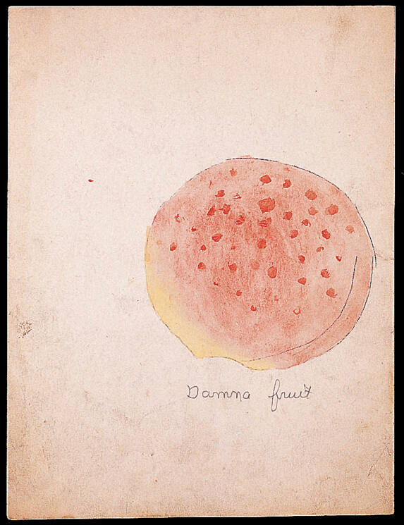 Henry Darger, “Untitled (Damna Fruit)”, Chicago, Mid-twentieth century, Watercolor, carbon trac…