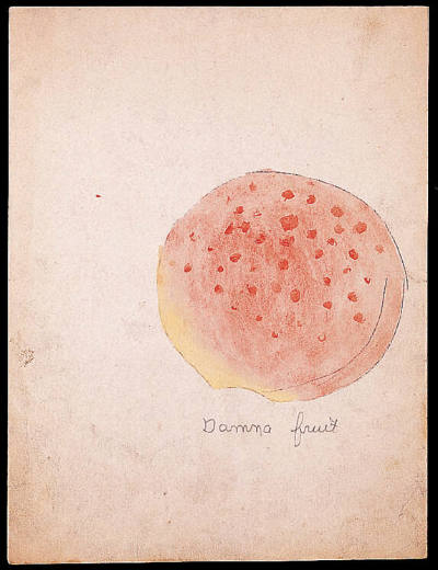 Henry Darger, “Untitled (Damna Fruit)”, Chicago, Mid-twentieth century, Watercolor, carbon trac…