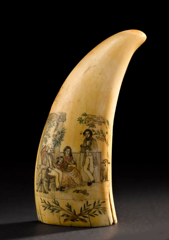 Whale Tooth
Photographed by Gavin Ashworth