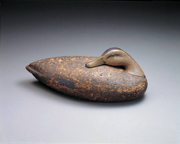 Black Duck
Charles E. "Shang" Wheeler 
Photo by John Parnell