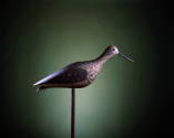 Lesser Yellowlegs
Joseph W. Lincoln (1859–1938)
Accord, Massachusetts, United States
c. 1910…
