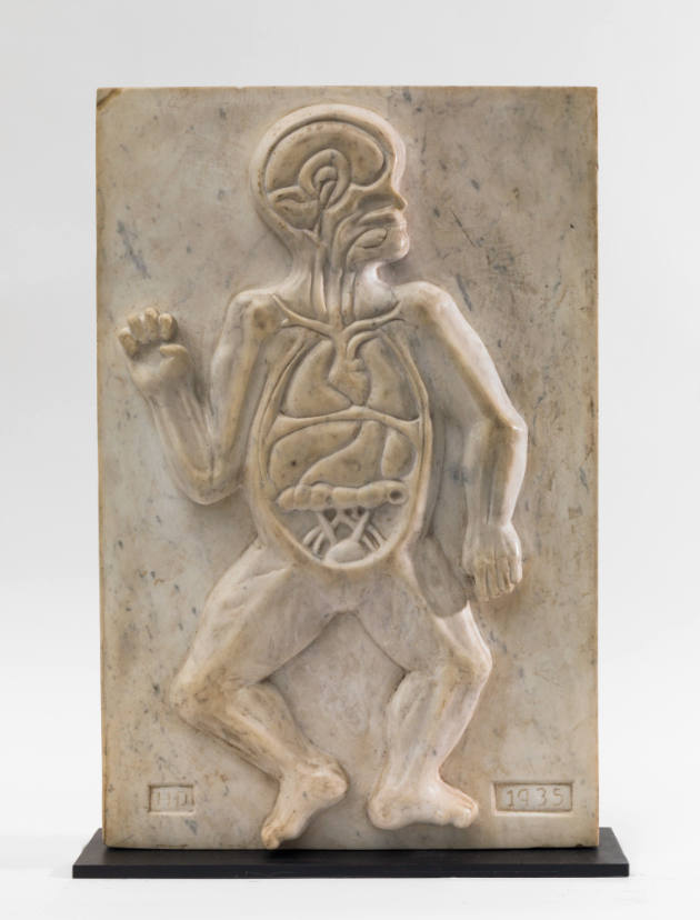 Incised "HD", “Untitled (Anatomical Relief Sculpture),” Found in the vicinity of Philadelphia, …