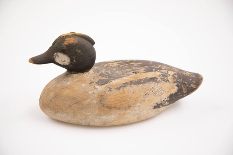 Lothrop T. Holmes, (1824–1899), “Golden Eye Drake (Whistler),” United States, 1885 - 1895, Pain…