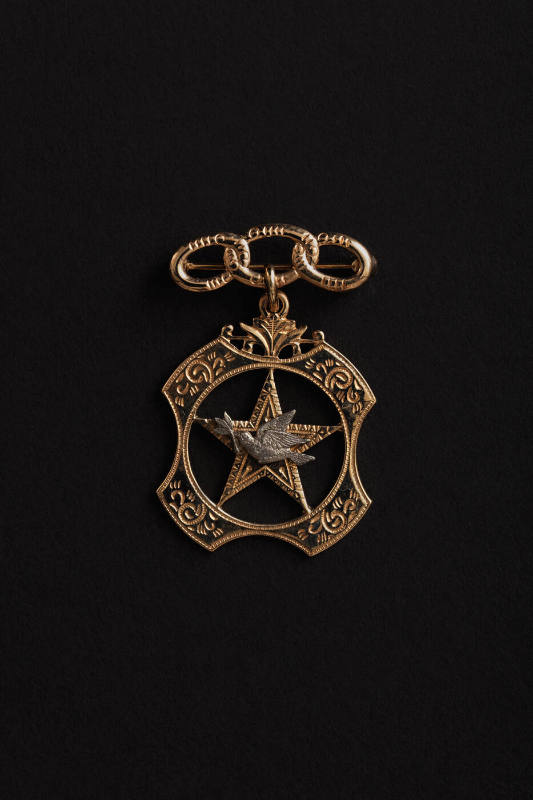 Independent Order of Odd Fellows Daughters of Rebekah Past Noble Grand Jewel
Artist unidentifi…