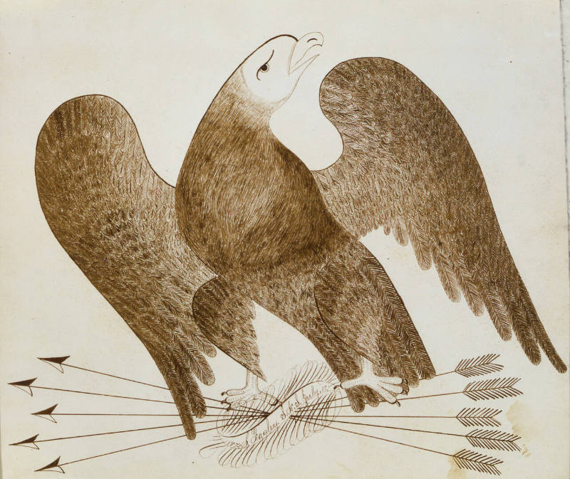 Bald Eagle and Arrows
S. Fagley
Photographer unidentified