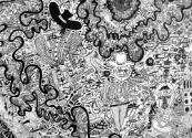 Jean-Pierre Nadau (b. 1963), “Amazonie (Amazon),” Morillon, France, 2007, Sergent-Major pen, bl…